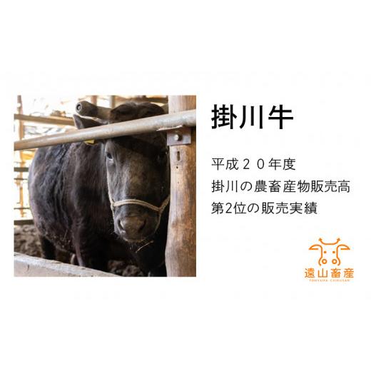 ふるさと納税 静岡県 掛川市 ５５２６　掛川牛「 和牛 」　バラ肉 焼肉 カット 500ｇ（ 250ｇ × 2袋 小分け ） 遠山畜産　小分け