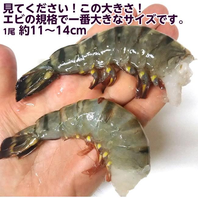 甘プリ 無頭ブラックタイガーエビ（大きい13 15サイズ） 500g（背わた取り済・バラ凍結）  生冷凍 無添加 えび 海老 冷凍