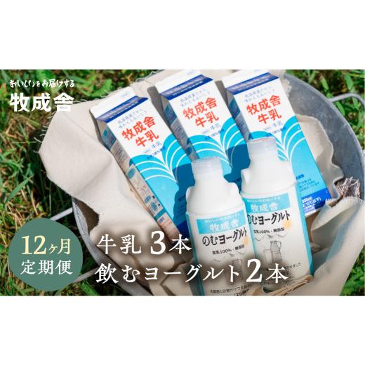 ふるさと納税 岐阜県 飛騨市 飛騨産生乳100%で作る低温殺菌牛乳無添加飲むヨーグルト12か月定期お届け