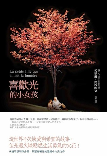 喜歡光的小女孩[二手書_良好]