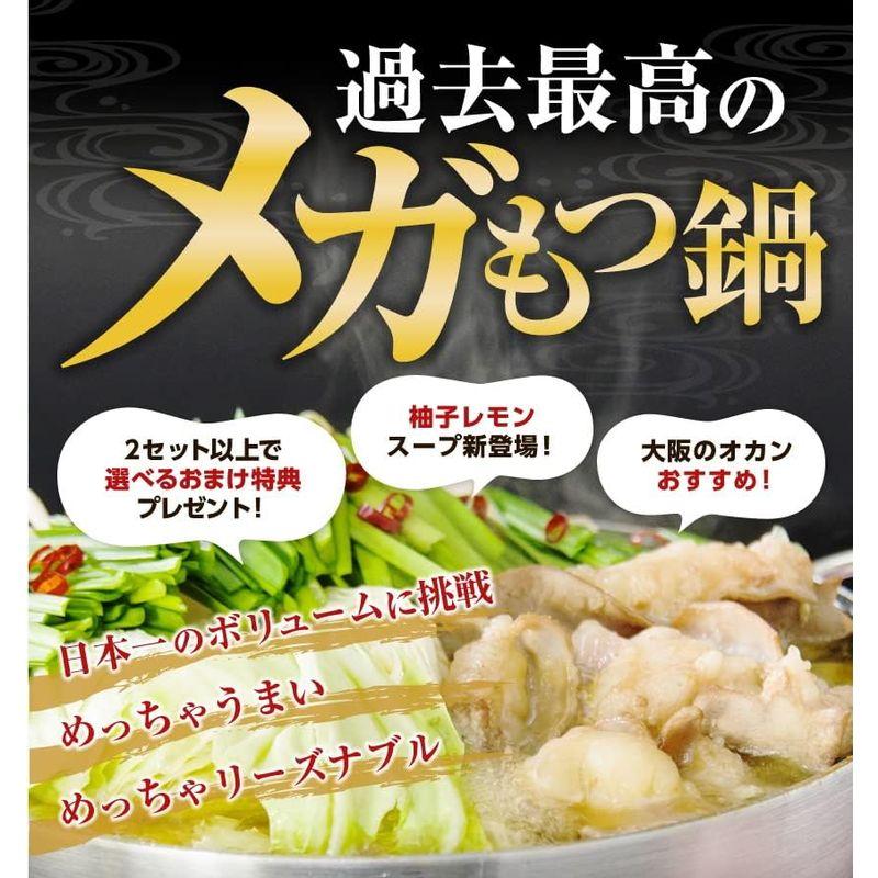 マイニチトッカ 500gもつ鍋セット 2?3人前 にんにく醤油