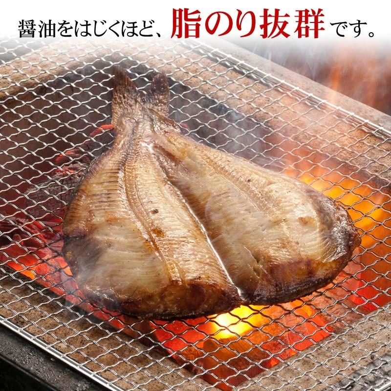 シマホッケ一夜干し開き　1枚(トロホッケ 干し魚)　ジュッと縞ほっけの脂の焼ける音が食欲をそそります。開きしまほっけ干物