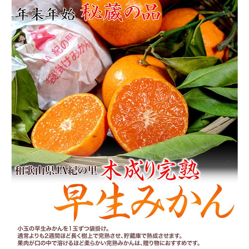 『袋掛け完熟みかん』和歌山県紀の里産 柑橘 小玉S〜2Sサイズ 約3kg　産地箱入 ※常温 送料無料