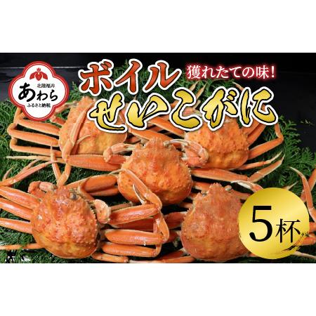 ふるさと納税 ボイルせいこがに 5杯 《2023年11月6日解禁！獲れたての味！》 ／ 期間限定 茹で ボイル 冷蔵 蟹 カニ 福井県 あわら市 海鮮 冬 .. 福井県あわら市