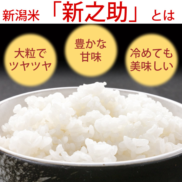 新潟米 新之助 10kg(5kg×2袋) 新潟県産 お米 米 白米 ご飯 ライス お米 大粒 甘味 しんのすけ 新潟 お米 白米 ご飯 送料無料