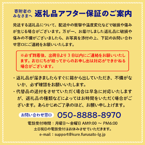 川田柑橘園 広島県産 「瀬戸内レモン」4kg