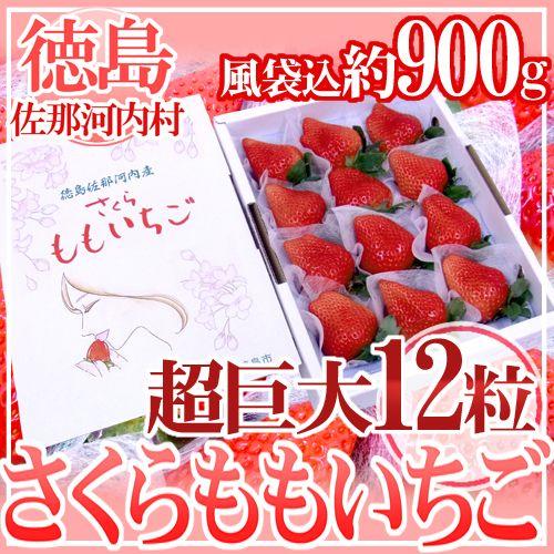 徳島県佐那河内産 ”さくらももいちご” 超特大12粒 化粧箱 送料無料