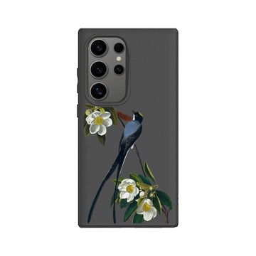 Galaxy S24 Ultra SolidSuit 黑 - The British Library - 美洲鳥譜 ‧ 叉尾霸鶲