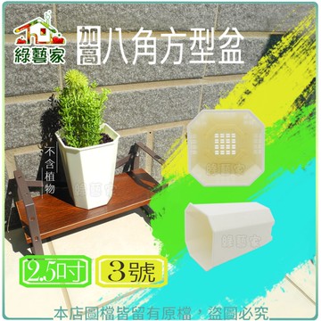 【綠藝家】加高八角方型盆2.5吋(3號)