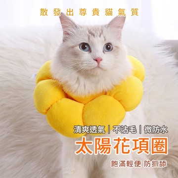 【喵的咧選物】太陽花防舔圈 頭套 羞恥圈 防舔頭套 貓頭套 寵物防舔【台灣現貨】