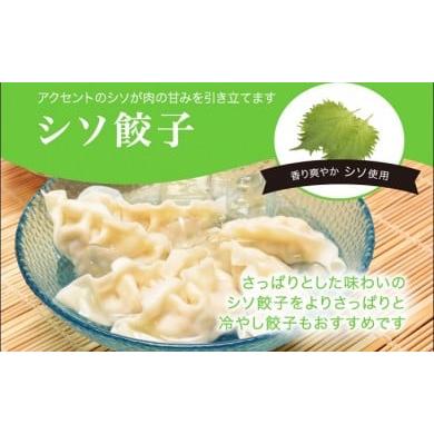 ふるさと納税 栃木県 さくら市 「宇都宮餃子館」シソ餃子 960ｇ（４８個）≪ギョーザ 冷凍餃子 冷凍食品 グルメ 食品 惣菜 中華惣菜 点心 中華≫