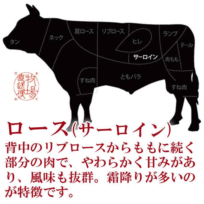 千屋牛 A5ランク 熟成肉 ステーキ用 サーロイン 300g 岡山県 哲多和牛牧場 国産黒毛和牛 エイジングビーフ ちやぎゅう ロース