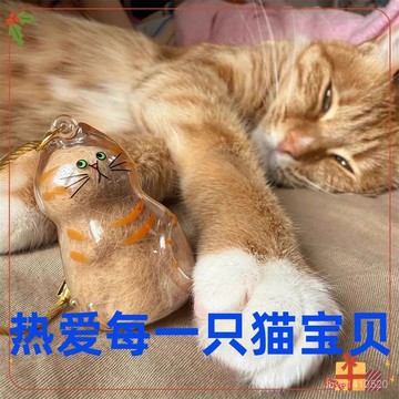 寵物生日禮物 寵物生日裝飾 寵物生日裝扮 客製生物裝飾 寵物毛髮紀念貓咪扭蛋貓咪毛髮紀念透明狗毛貓毛收集吸毛迷你收納