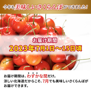 先行予約 大塚農園 さくらんぼ800g（200g×4）サクランボ フルーツ