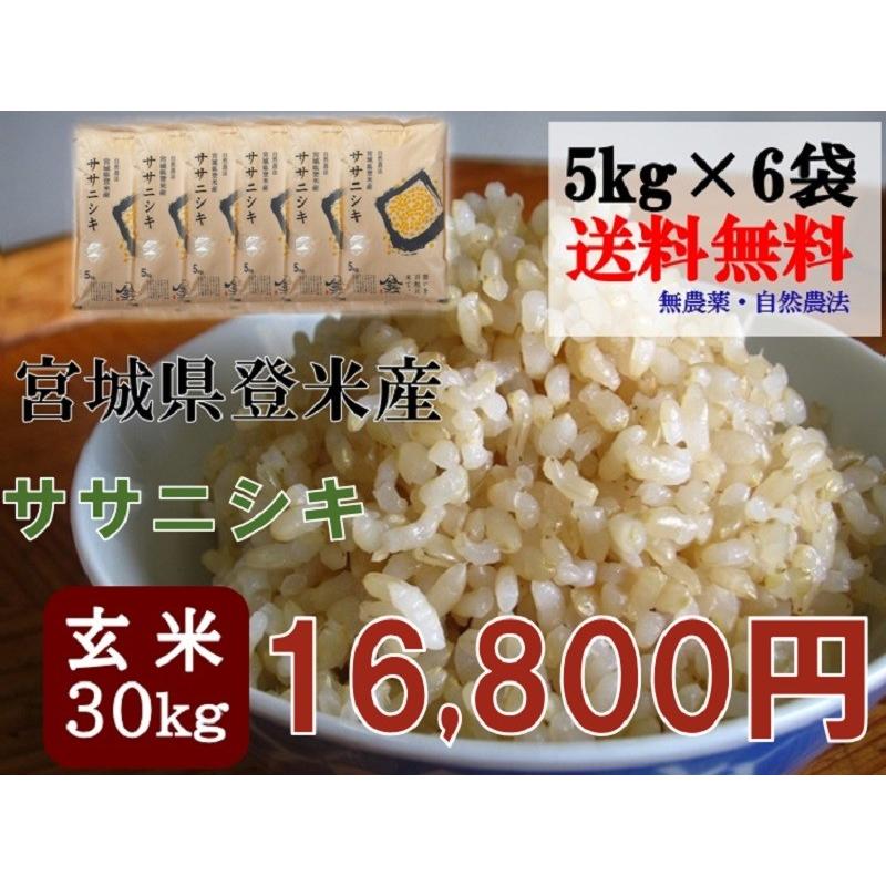 米 お米 令和5年産  ササニシキ 30kg (5kg×6袋) 玄米 送料無料   宮城 登米 米 特別栽培米 農薬・化学肥料不使用