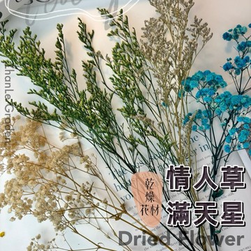 綜合乾燥花 永生情人草  滿天星 水晶草 麥穗 永生花 不凋花 卡斯比亞 星辰花 插花花材 裝飾花 居家裝飾【盞樂空間】