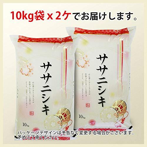  ササニシキ 20kg (10kgx2袋) 山形県産 令和5年産 白米