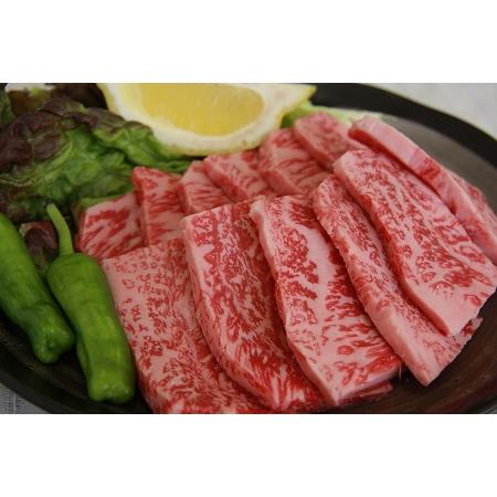 ふるさと納税 奥出雲和牛焼肉セット 肩ロース400g 赤身450g 【しまね和牛 食べ比べ BBQ 贈答用 冷蔵 チルド 日時指定Ｂ-4 島根県飯南町