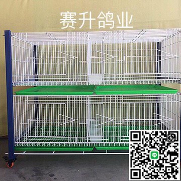 【千羽家居】種鴿 賽鴿 鳥籠 配對籠鴿子籠臺式繁殖巢箱賽升信鴿配對籠觀察 訓放 展示籠二層