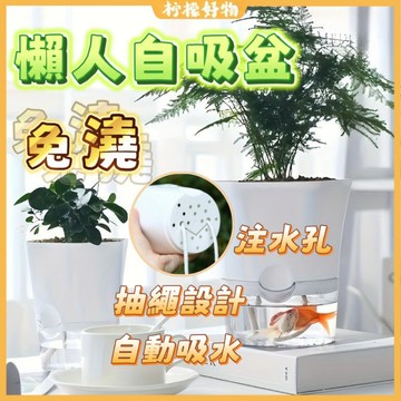 🏆蝦皮優選🏆免澆花盆 懶人自吸盆 陽台桌面綠蘿多肉加侖盆 月季蘭花塑料盆 自動吸水盆栽 塑膠懶人盆 懶人花盆 透明吸水盆