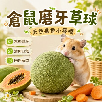 倉鼠草球 磨牙草球 小寵磨牙【倉鼠磨牙草球】天然果香小零嘴 幫助磨牙 清新口氣 陪伴解悶 小寵零食 倉鼠磨牙