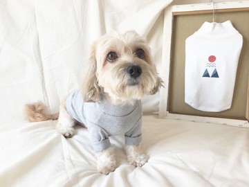 【絹印寵物衣】內搭長袖的閃亮灰毛衣