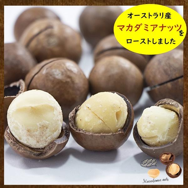 おつまみ マカダミアナッツ うす塩味 たっぷりサイズ 500g クリーミーなナッツ ネコポス便発送