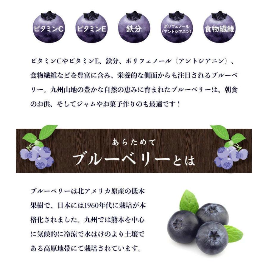 冷凍ブルーベリー 1kg 500g×2袋 送料無料 九州産 冷凍 ブルーベリー サイズ不選別 フルーツ 果物 取り寄せ 通販 7-14営業日以内に出荷予定(土日祝日除く)