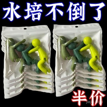 臺灣隔日達12H🔥全網最低價三個水培植物伴侶扶正固定魚缸植物辦公裝飾理綫園藝神器水培固定擺件 全網最低價