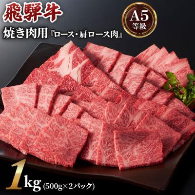 ふるさと納税 本巣市 [A5等級]飛騨牛焼き肉用1kg(500g×2パック)ロース・肩ロース肉