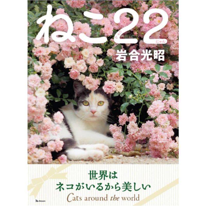 ねこ22(にゃんにゃん) (ねこのきもち)