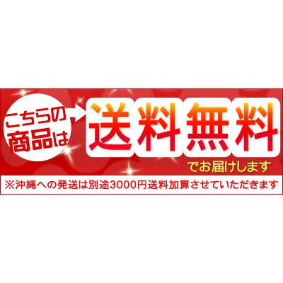 糠にしん甘塩 焼物用 大サイズ5尾セット 送料無料 ※沖縄は送料別途加算 御歳暮 クリスマス 正月