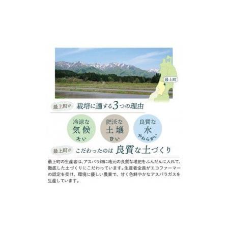 ふるさと納税 JA最上町特産グリーンアスパラ2kg 山形県最上町