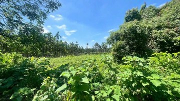 內埔豐田老街/近台1線/國3/住宅區建地99165｜屏東縣內埔鄉振豐段