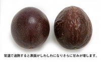 津嘉山パッションフルーツ　約1kg