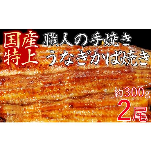 ふるさと納税 埼玉県 加須市 加須の名店うなぎ荒川の『国産特上うなぎ蒲焼 ２尾』