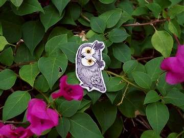 貓頭鷹 刺繡別針 /刺繡貼(1個) __ 刺繡、聖誕禮物、插畫、免運