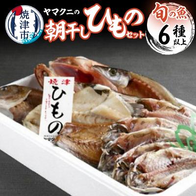 ふるさと納税 焼津市 朝干しひものセット6種以上!(a15-383)