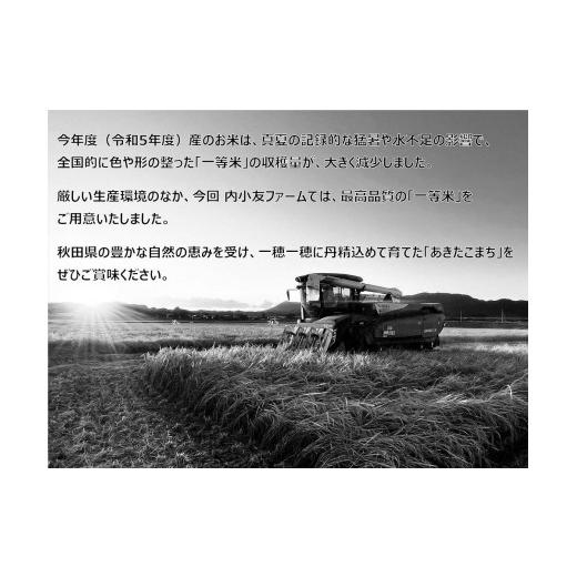 ふるさと納税 秋田県 大仙市 令和5年産 秋田県産あきたこまち 一等米 農家直送 玄米30kg