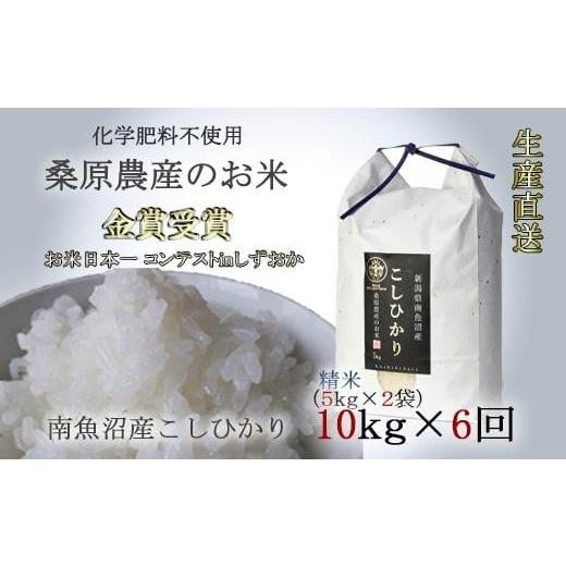 ふるさと納税 新潟県 南魚沼市 桑原農産のお米10kg(5kg×2)×6ヵ月　南魚沼産こしひかり