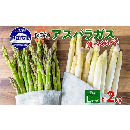 ふるさと納税 先行予約 2024年 北海道 アスパラガス グリーン AL ホワイト 2級品大・中 各1kg 食べ比べ セット 計2kg 春 限定 旬 朝採り 新鮮 .. 北海道倶知安町