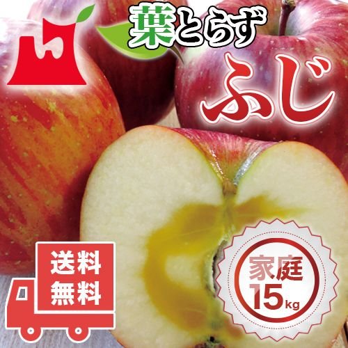 送料無料　青森県産　葉とらず　ふじご家庭用15kg　(約42〜54個)人気の訳ありリンゴ 青森産　訳あり　サンふじ