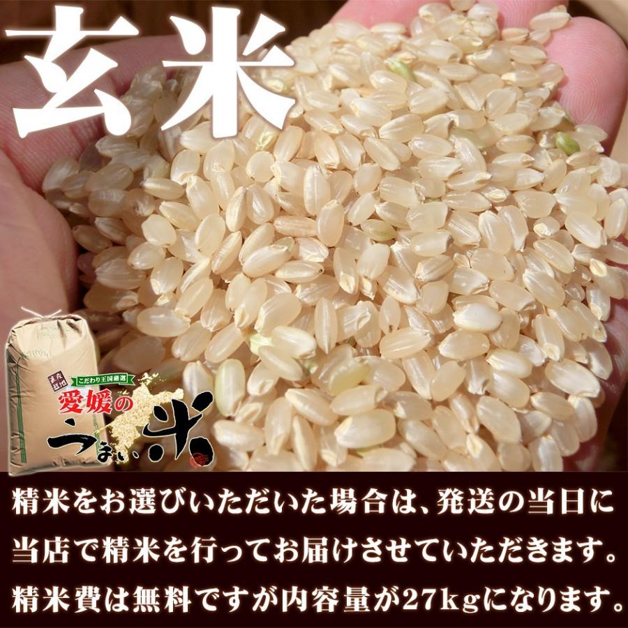 三間米 こしひかり 玄米 30kg または 精米 27kg 令和５年 愛媛 みままい コシヒカリ 一等米 単一原料米 三間 米 おコメ 愛媛県 宇和島市 三間町 美沼の里