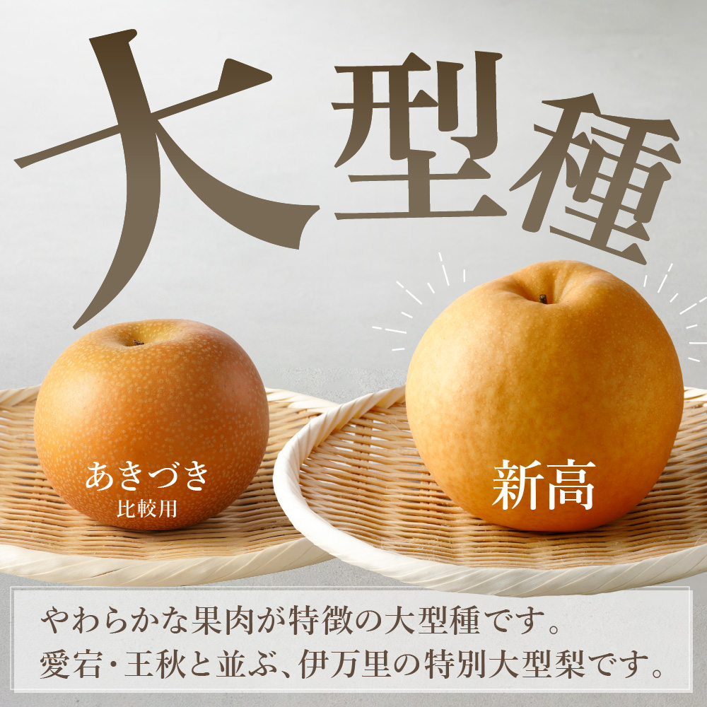 伊万里梨「新高」 10kg (約5kg×2箱)  B166