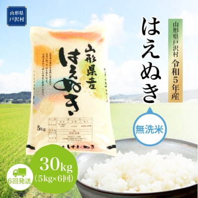 令和5年産 山形県戸沢村 はえぬき  30kg定期便 (5kg×6回)