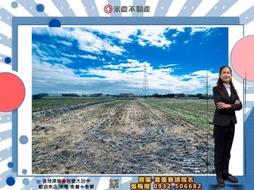 永慶梅櫻大肚追分段都計內地形四正293坪農地｜台中市大肚區追分段