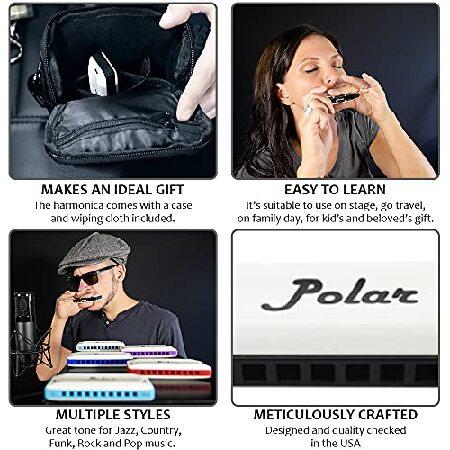 Harmo Polar Harmonica (Set of 3) 10 Holes Professional Blues Mouth Organ Harmonica for Beginner, Adult Mouth Musical Instrument Includes Harmo