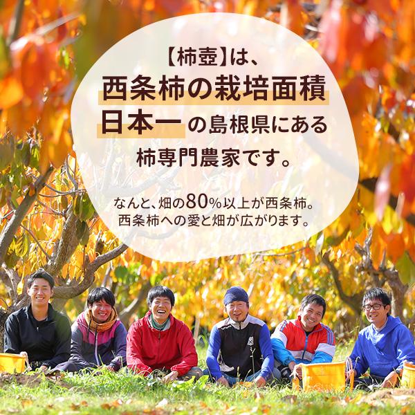 柿農家「柿壺」の西条柿の干し柿12個入（簡易パッケージ） セミドライ 添加物不使用 島根県産 柿 送料無料（北海道・沖縄を除く）