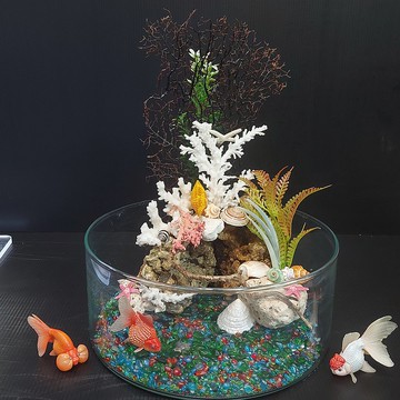 魚缸 珊瑚海景、流木水草 組合造景 AM-002-L-01