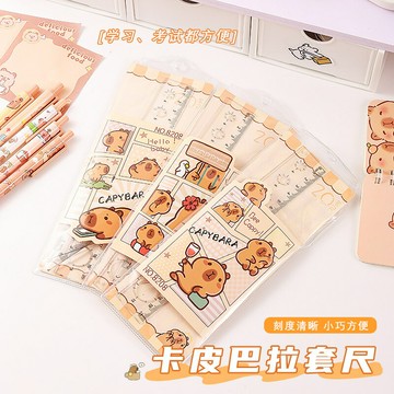 卡皮巴拉套尺學生繪圖20cm透明直尺三角板考試工具四件套尺子批發【益三和】可開發票